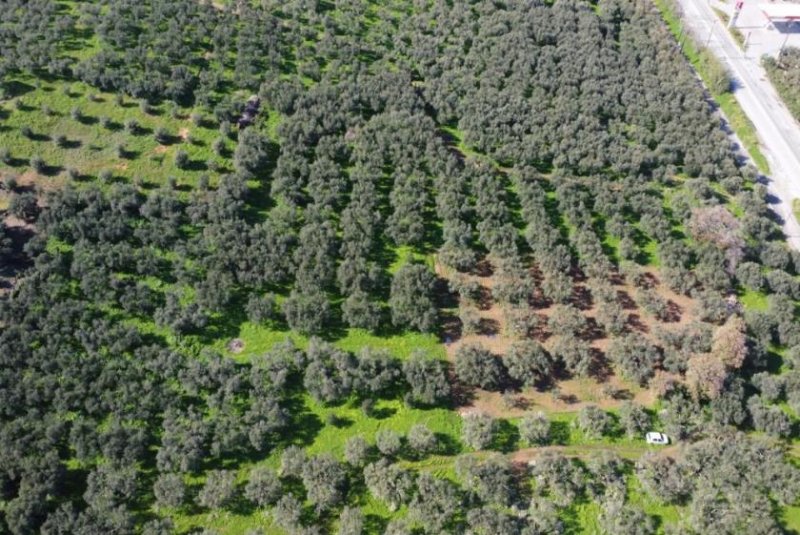 Kaloudiana Kreta - Kaloudiana: Schönes Grundstück mit Berg- und Meerblick Grundstück kaufen